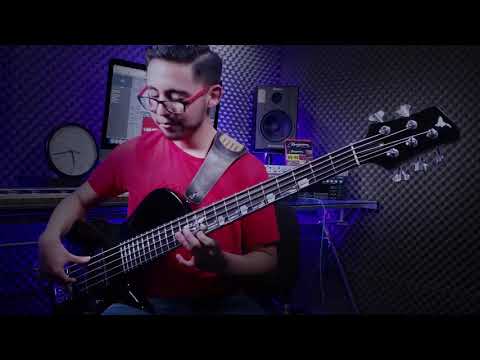 DEYLAMANDREE - Mohini Dey & Federico Malaman Tribute