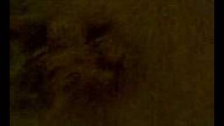 Kaleb and satin dog lolz