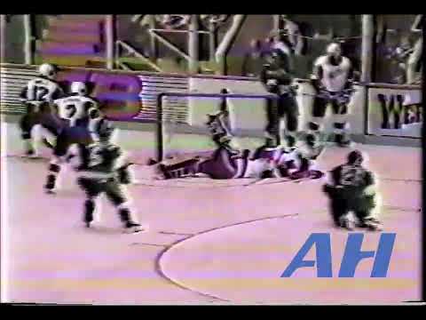 AHL ?. ?, 1989-90 Torrie Robertson,ADI v Craig Duncanson,NH (HL) Adirondack Red Wings New Haven Nigh