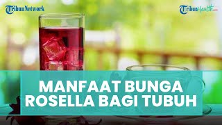 Menjaga Kesehatan Jantung, Ini Segudang Manfaat Bunga Rosella untuk Kesehatan Tubuh