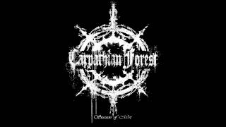 Carpathian Forest - In Silence I Observe (8 bit)