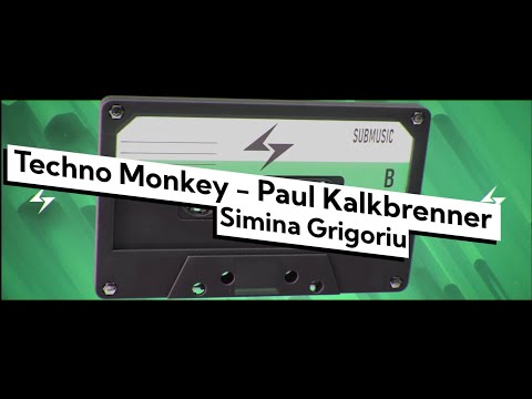Simina Grigoriu - Techno Monkey [Paul Kalkbrenner Remix] | submusic
