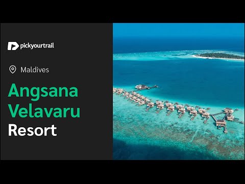 Angsana Velavaru Resort 2025 | Best Maldives Resort Tour |  Pickyourtrail 💚