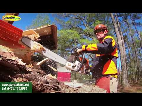 Miniatura Video