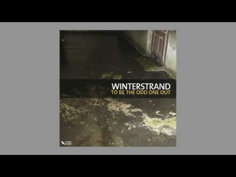 Winterstrand - Shadows of Memories