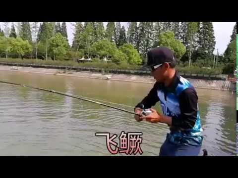 GONG LEI - A Freaky Monster (Fishing Giant Mandarin Perch)