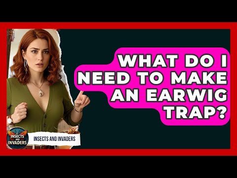 What Do I Need To Make An Earwig Trap? - Insects and Invaders