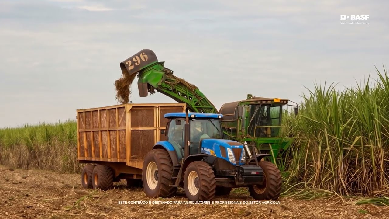Prowl® H2O | Herbicida pré-emergente da BASF