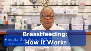 How Does Your Body Make Breast Milk?