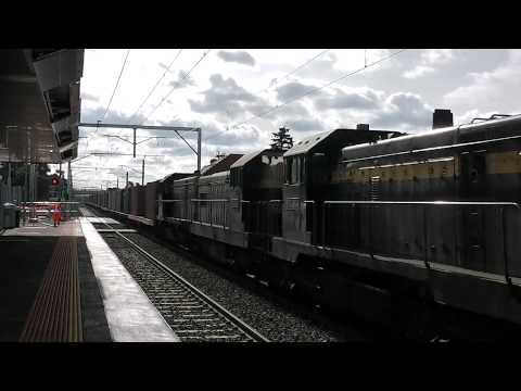Australian Trains - QUBE Container train at Diggers Rest