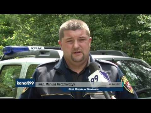 Sławków na wojnie z “dzikimi” wysypiskami