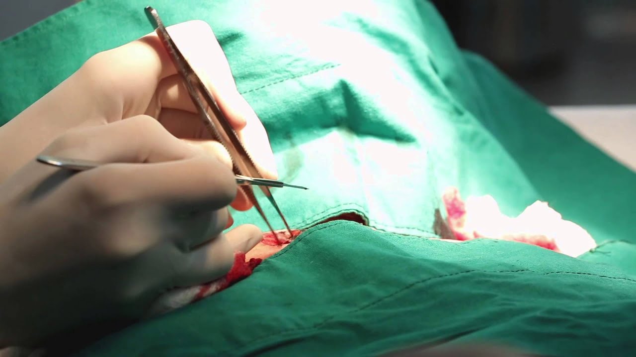 BLACK MAN WHITE SKIN_ TRAILER OFICIAL HD