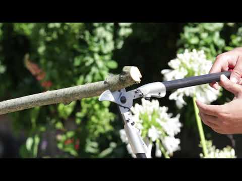 Genėjimo žirklės FELCO 200A-60 video