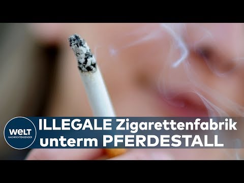 BEHÖRDEN FEIERN: Illegale Zigarettenfabrik in Spanien wurde hochgenommen