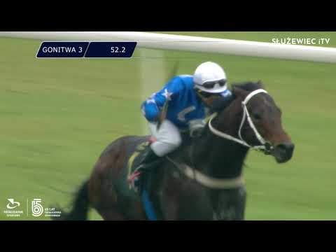 13.11.2021 (D50; G3; Tor: 3,4; 7°C) Nagroda Pawimenta