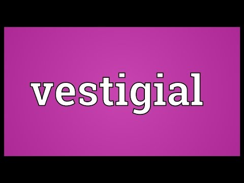 Vestigial Meaning