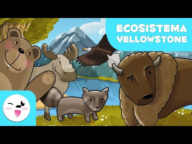 Vídeo relacionado con Parque de Piedra Amarilla Animales y Atracciones Libro para Niños: Gran manera para que los niños vean lo que el Parque Nacional de Yellowstone tiene para ofrecer