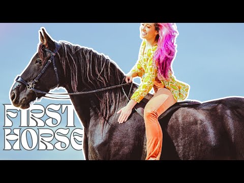 EVERYTHING YOU NEED FOR YOUR FIRST HORSE