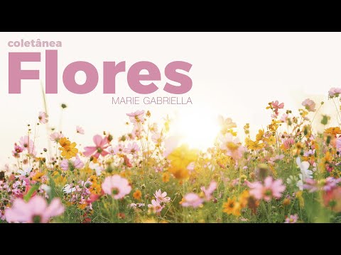 Coletânea Flores - Marie Gabriella