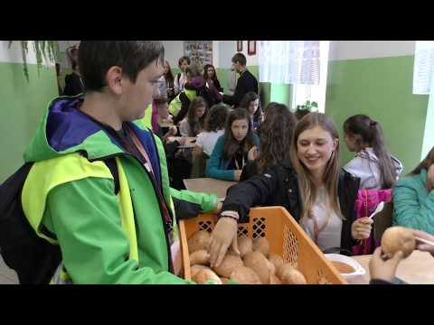 #SMDS - Wiedziałeś kim są zielone anioły?