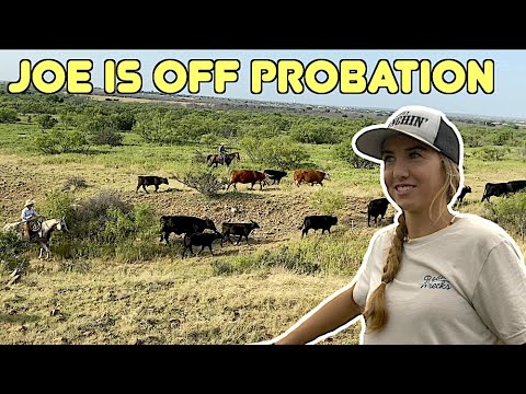 JOE IS UNBLURRED and Willie gets kicked in the face - Rodeo Time 257