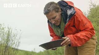 How to Pan for Gold | Operation Gold Rush | The Travel Edit