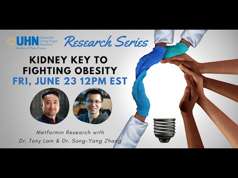 Kidney as Key to Fighting Obesity | GiveLifeUHN