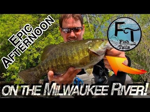 Milwaukee River Fishing - Smallmouth Bass, Trout & More! - EPIC afternoon - tons of fish from shore!