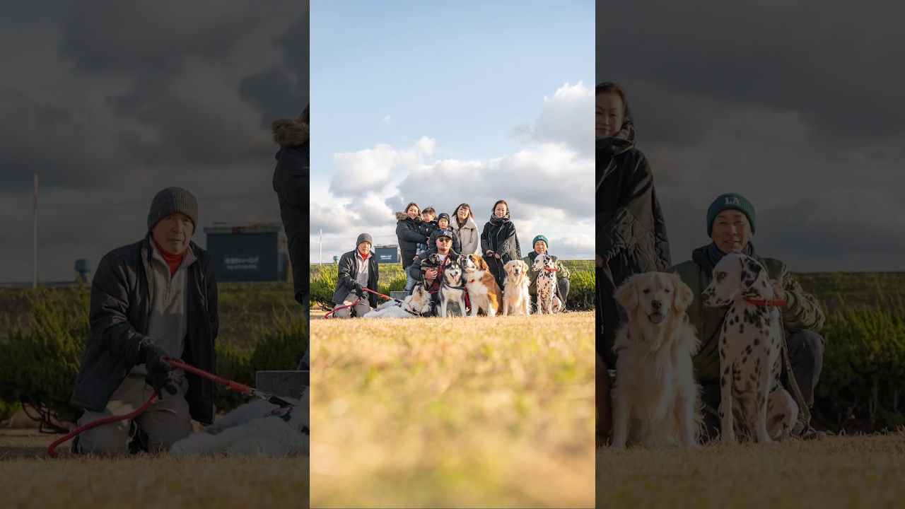 2023年最後の家族写真です📸🙏今年も皆さんありがとうございました！✨ #ワンちゃん #ストリートスナップ #犬 #家族写真 #和歌山 #streetsnap