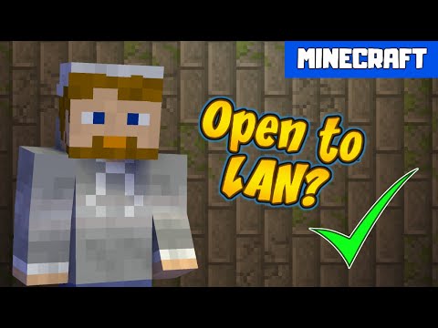 MINECRAFT | What Does OPEN TO LAN Mean?