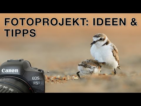 What I can recommend to every photographer - Photo project Bird Photography