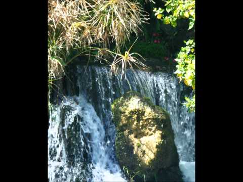 Like A Ghost (It's No Reason) - Ignatius Jones