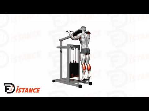 Exercice Machine à mollets debout