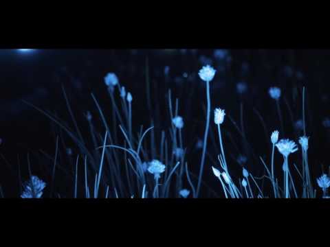 Water Light Festival Brixen Bressanone Südtirol 2017