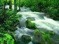 Secret Garden - Silent Wings 