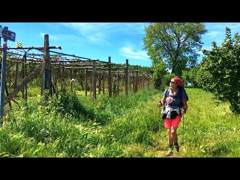 Pilgern in Italien | Zu Fuß nach Rom | Auf der Via Francigena | Wandern, Backpacking (Dokumentation)