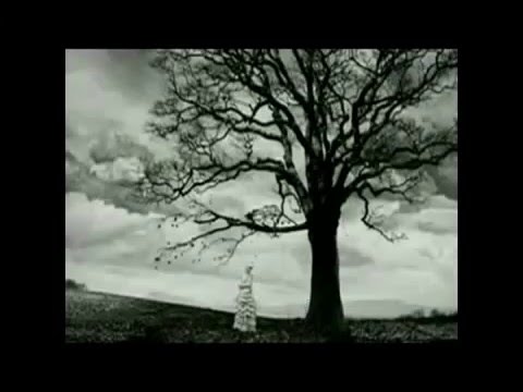 Sve je neobično ako te volim (govori Zrinko Kapetanić) - Zvonimir Golob (obična pjesma)