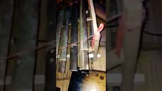 Download lagu tradisional seni budaya baduy mp3