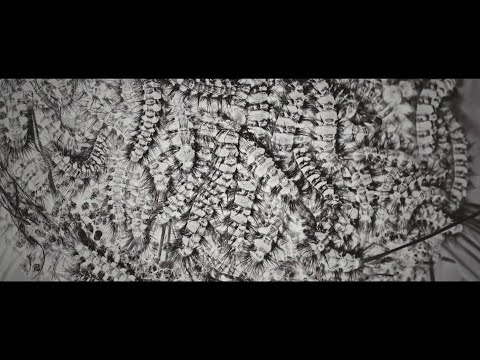 EXESSUS - Inner Parasite (Official Music Video)