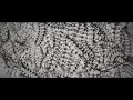 Exessus - Inner Parasite