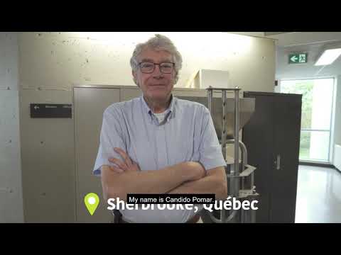 Healthy, happy hogs: Precision Feeding with Dr. Candido Pomar