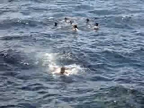 En la Playa de Catania