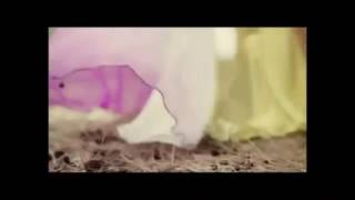 Download lagu New dhivehi lava kiyaadheynamey loabi vaa var mp3 Download lagu New dhivehi lava kiyaadheynamey loabi vaa var mp3