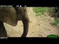 February Trial Camera Action At Mateya Safari Lodge