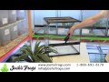 How to Set Up a Reed Frog Habitat or Terrarium