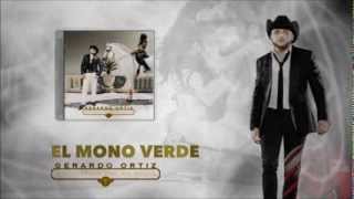 El Mono Verde Music Video