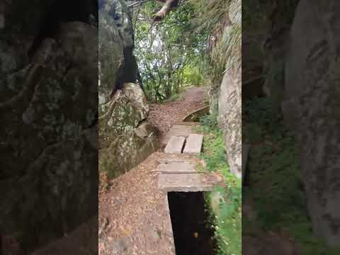 PR10 Levada do Furado Madeira 12.09.2020