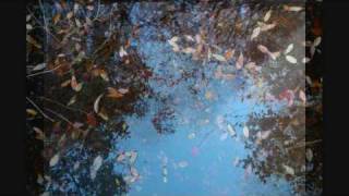 Milieu - Abandoned Lot Next Door
