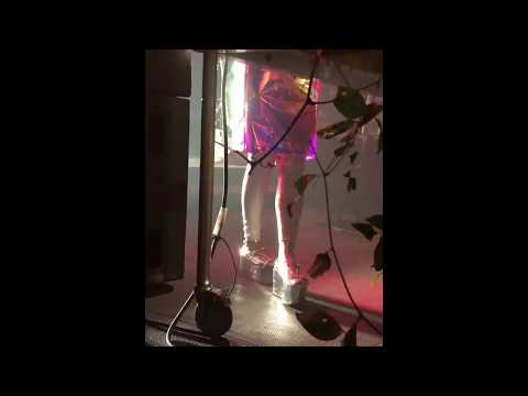 Björk - DJ Set Live @ Oneohtrix Point Never, Art Besel, Miami, December, 05th (05-12-2017)