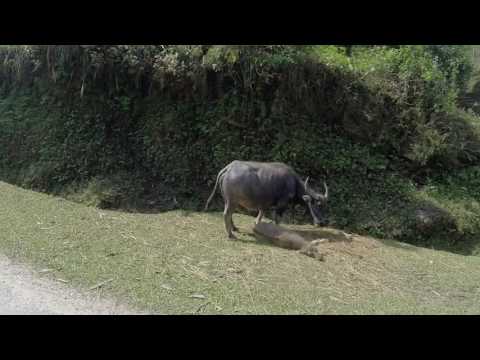 VRT149 - Santogold/Diplo/Sir-mix-alot - Posse on Broadway